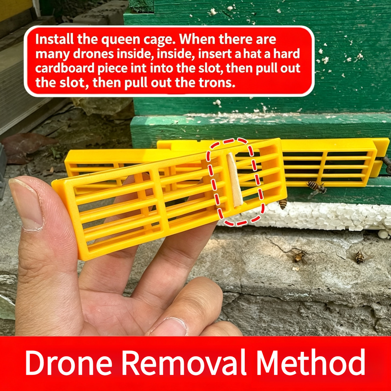 10Pcs Multi‑Functional Bee Esc - Drone Multispectral 评论和价格